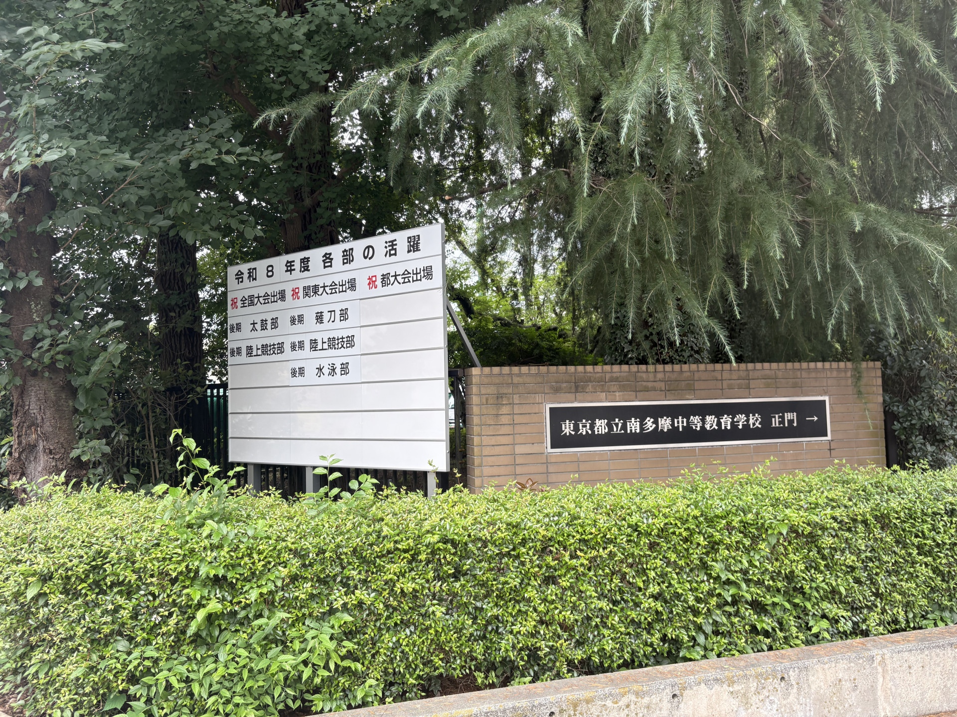 画像 -20260704-032944-2a2055c2_8882